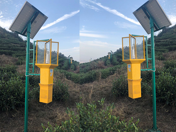 太阳能杀虫灯的IP65、IP67是什么意思?